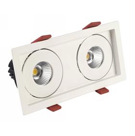 BIZZ 12-2 Recessed Ceiling Luminaires Dlux Multi-Head Recess Ceiling BIZZ 12-2 Recessed Ceiling Luminaires Dlux Multi-Head Recess Ceiling